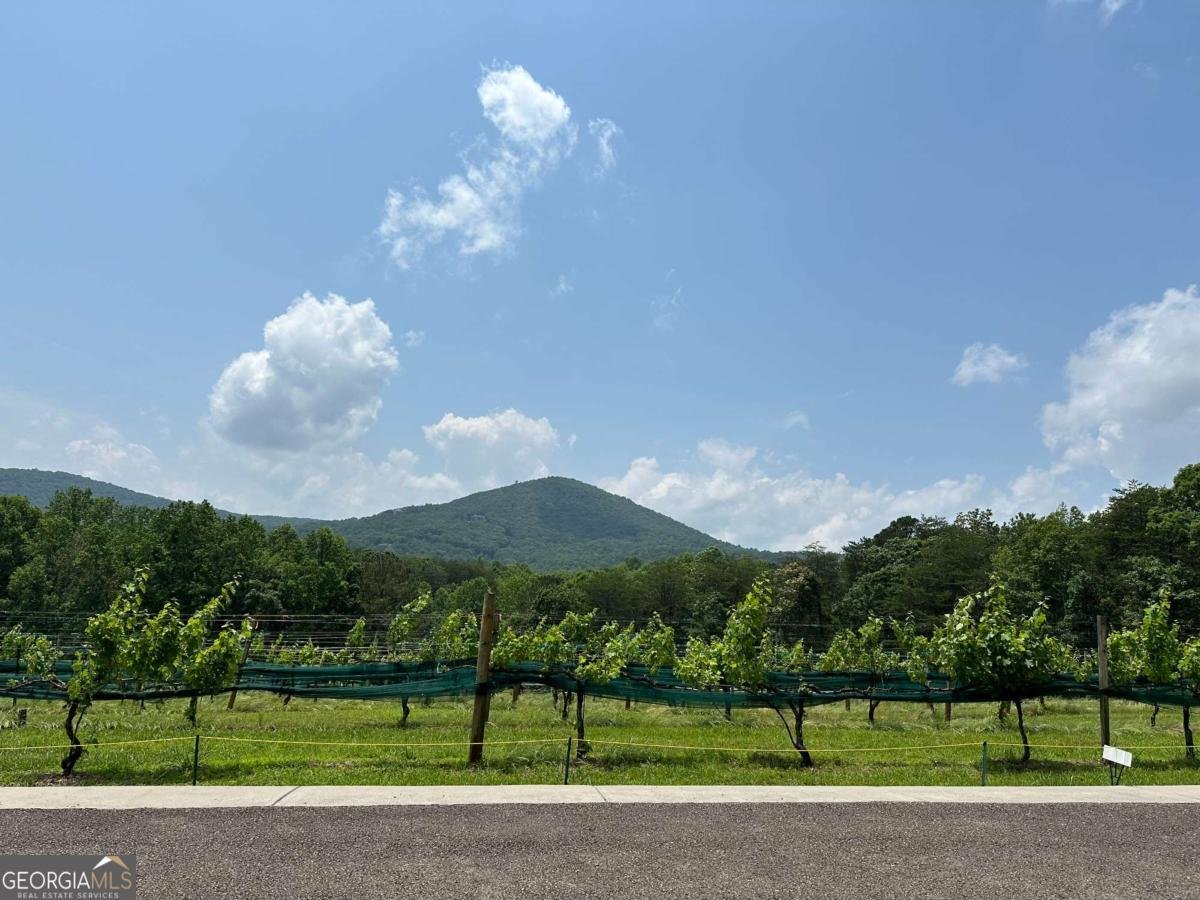 110 Rathgeb Trail Jasper - Photo 99