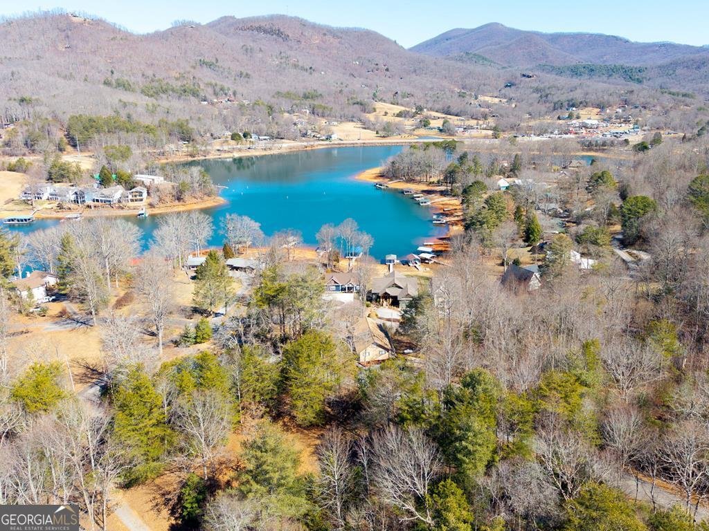 577 Beech Cove Drive Hiawassee - Photo 62