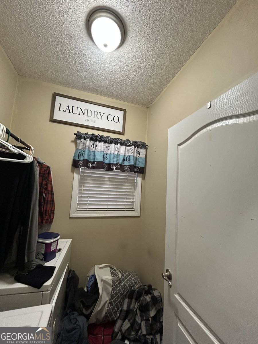 55 Rock Mill Court Senoia - Photo 18