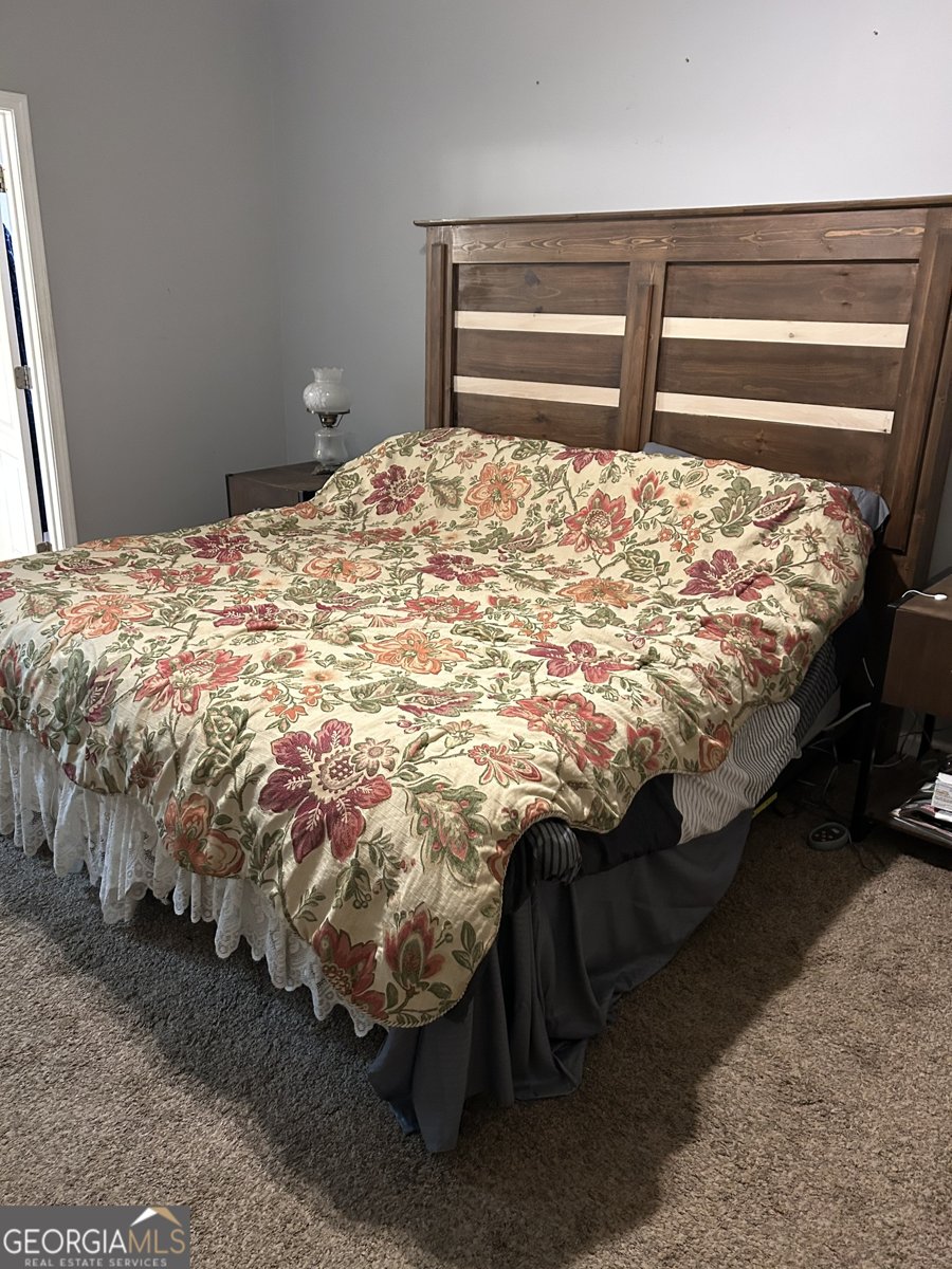 55 Rock Mill Court Senoia - Photo 20