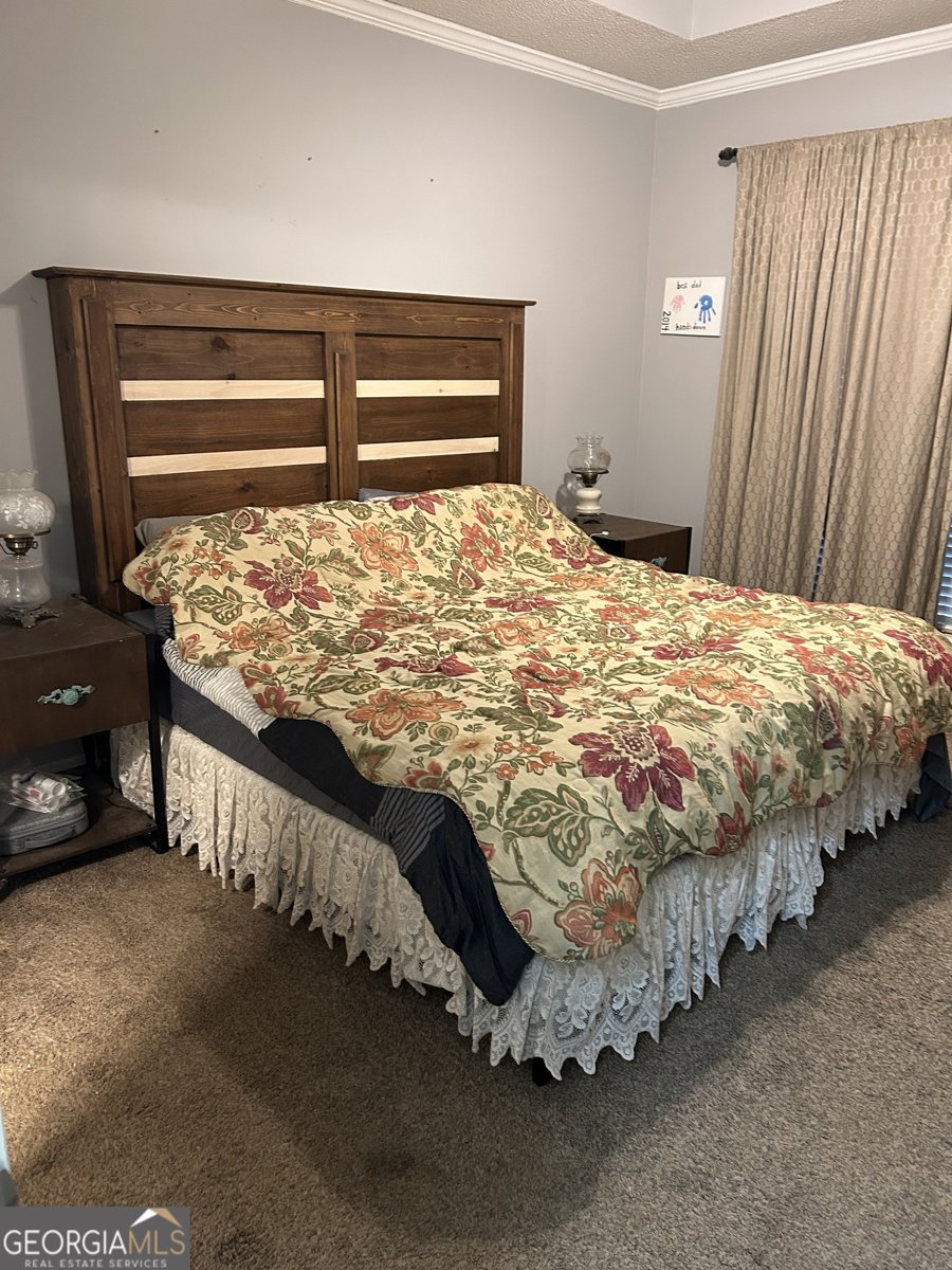 55 Rock Mill Court Senoia - Photo 21