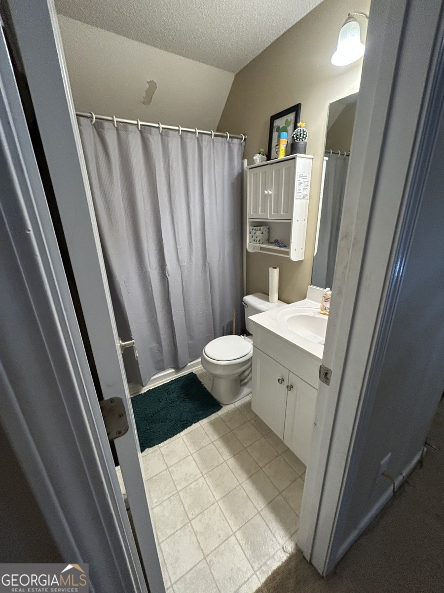 55 Rock Mill Court Senoia - Photo 26