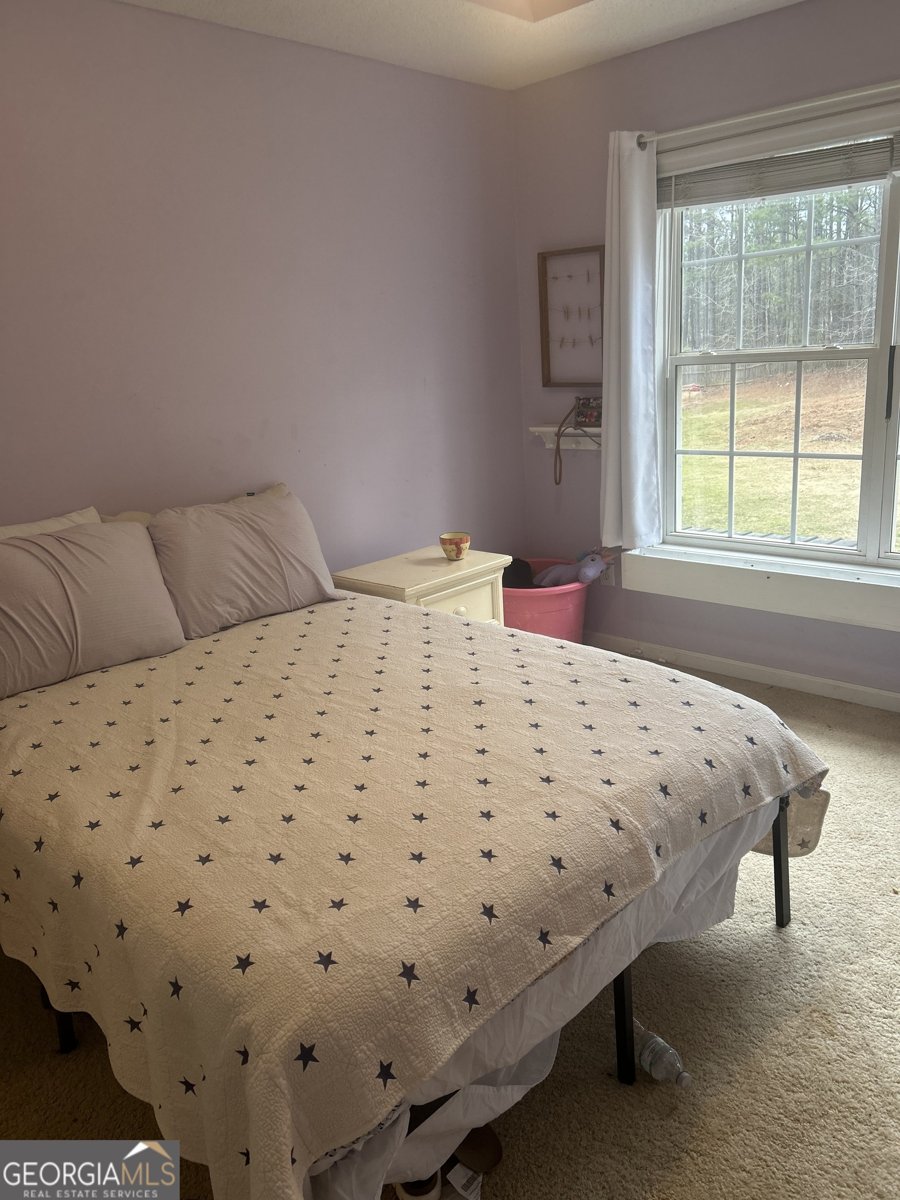 55 Rock Mill Court Senoia - Photo 29