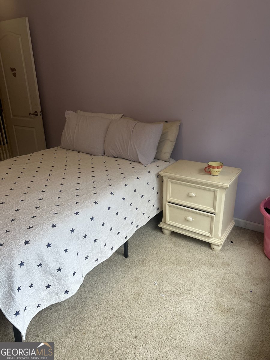 55 Rock Mill Court Senoia - Photo 30