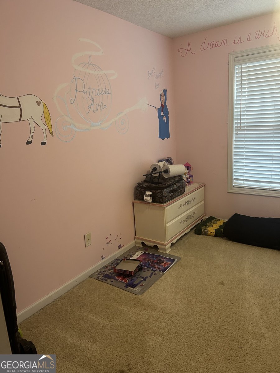 55 Rock Mill Court Senoia - Photo 31