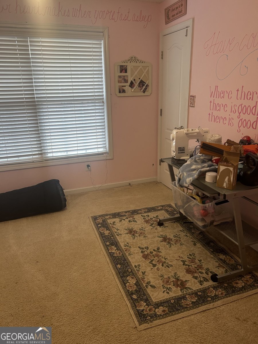 55 Rock Mill Court Senoia - Photo 32