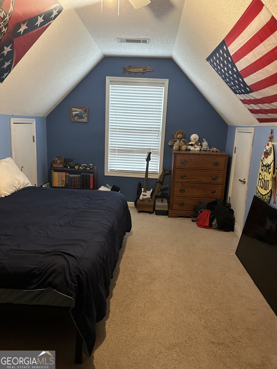 55 Rock Mill Court Senoia - Photo 33