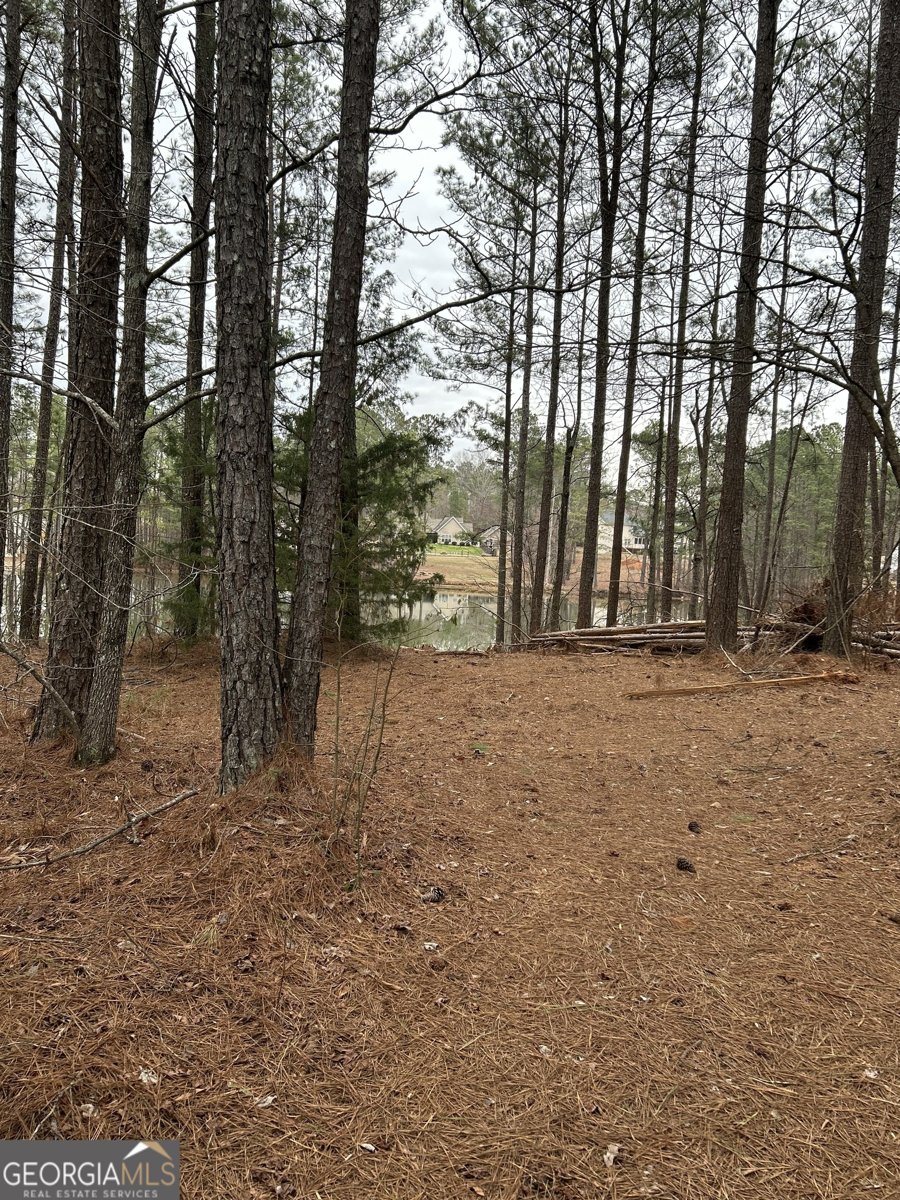 55 Rock Mill Court Senoia - Photo 38