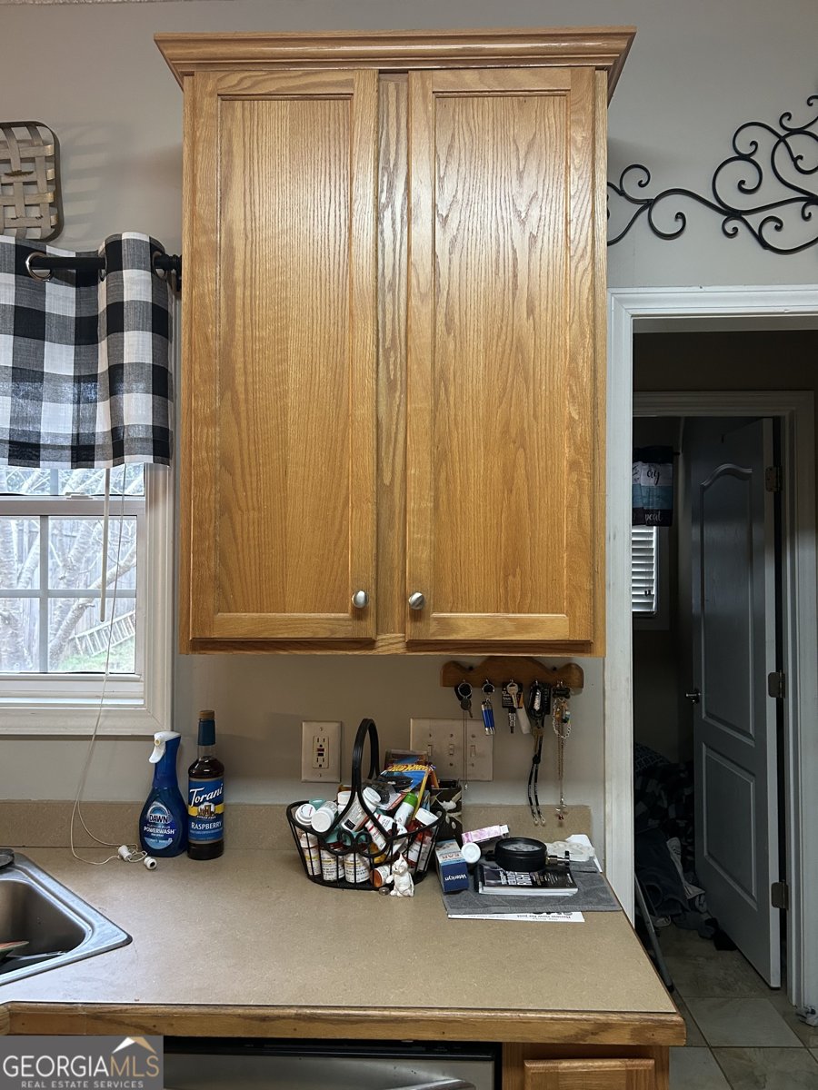 55 Rock Mill Court Senoia - Photo 9