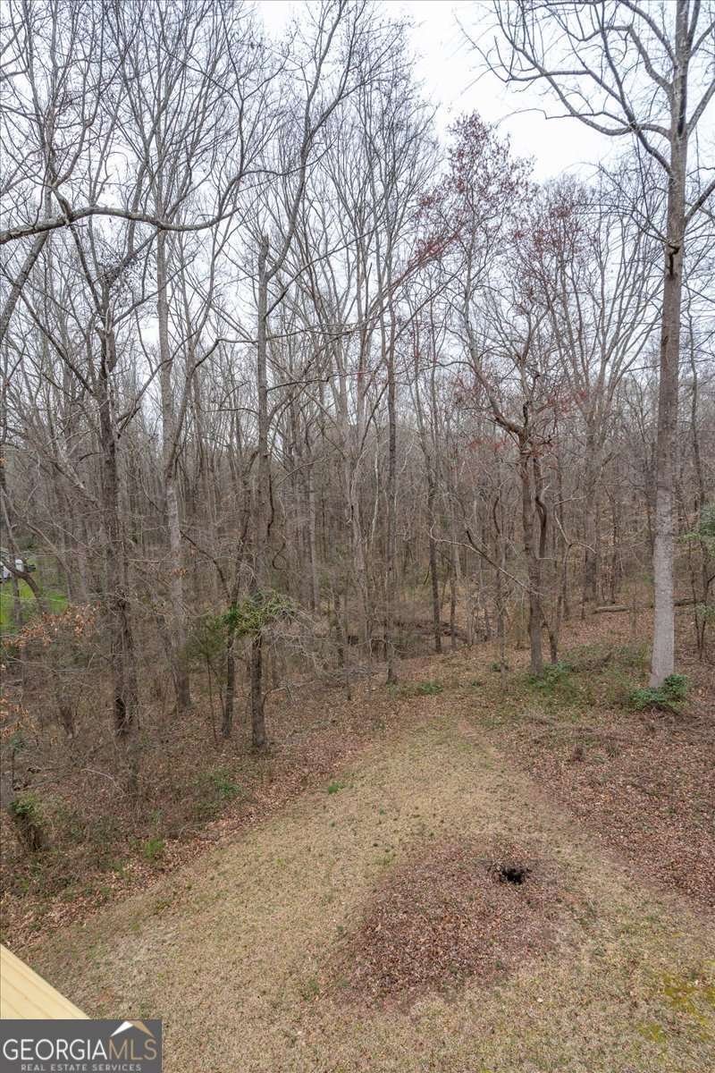 59 Busbin Lane Colbert - Photo 22