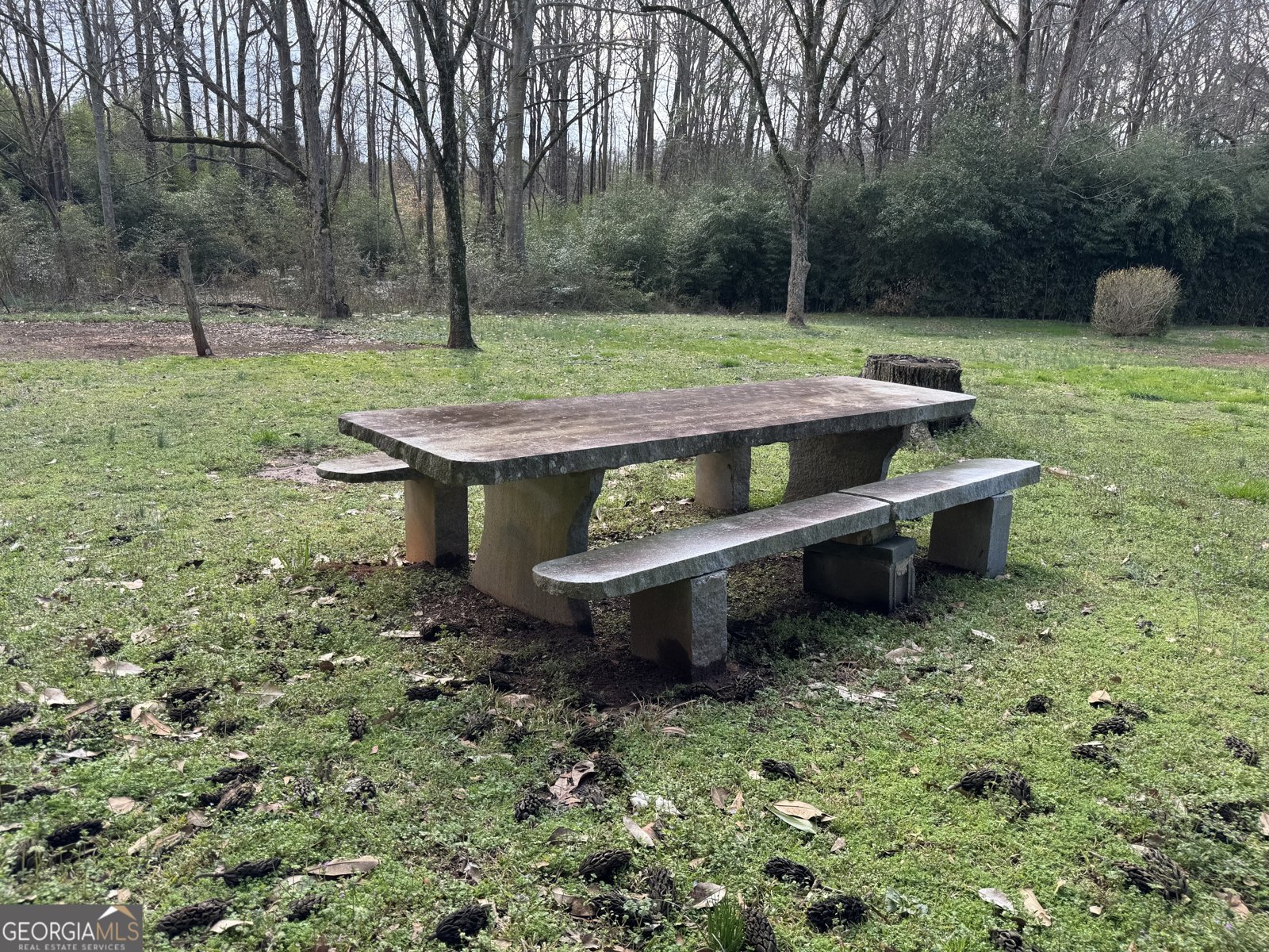 2023 Bowman Highway Dewy Rose - Photo 14