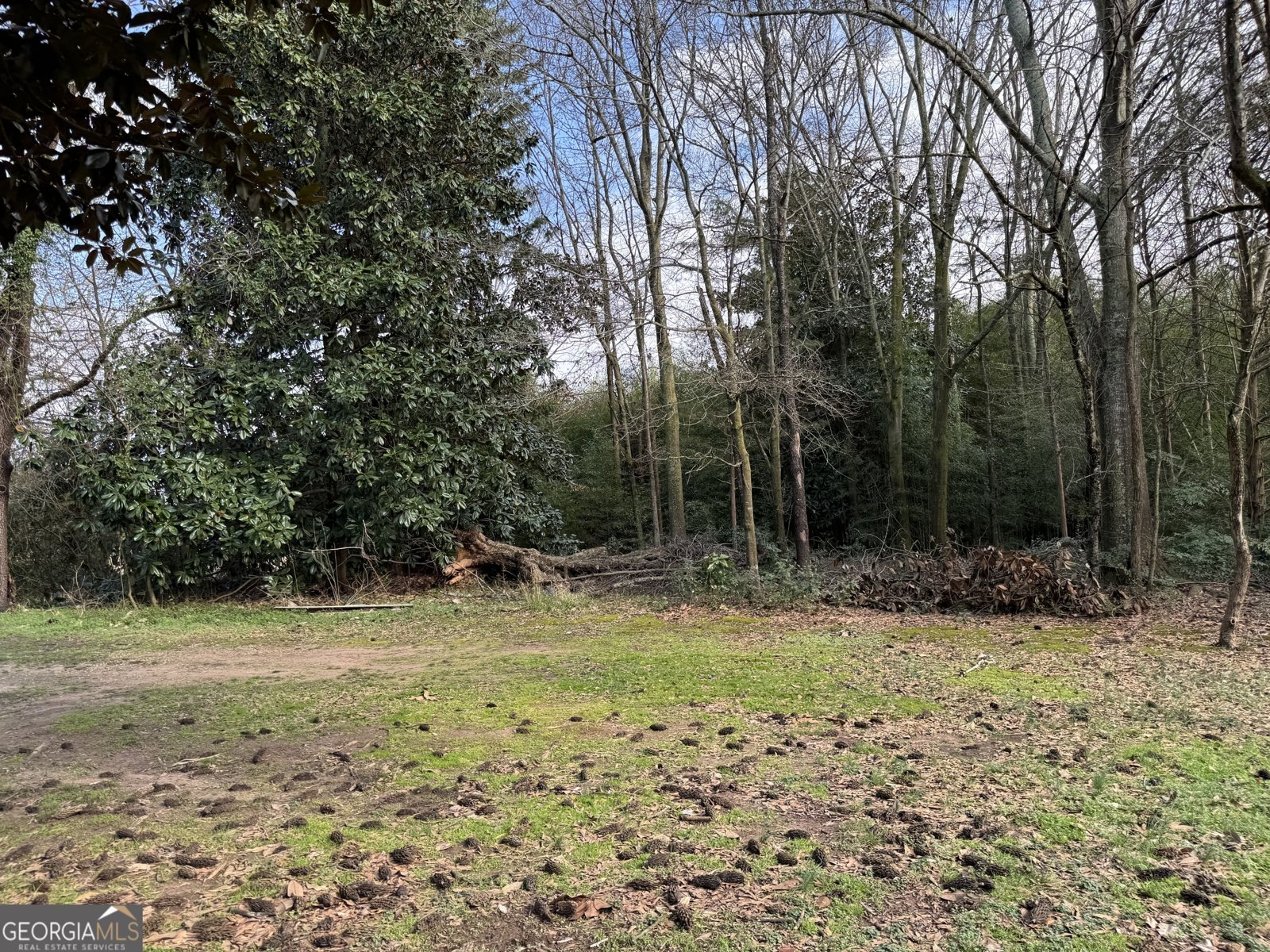 2023 Bowman Highway Dewy Rose - Photo 16