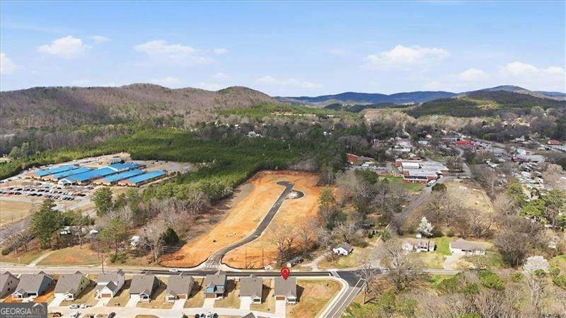 127 Old Alabama Road Emerson - Photo 48