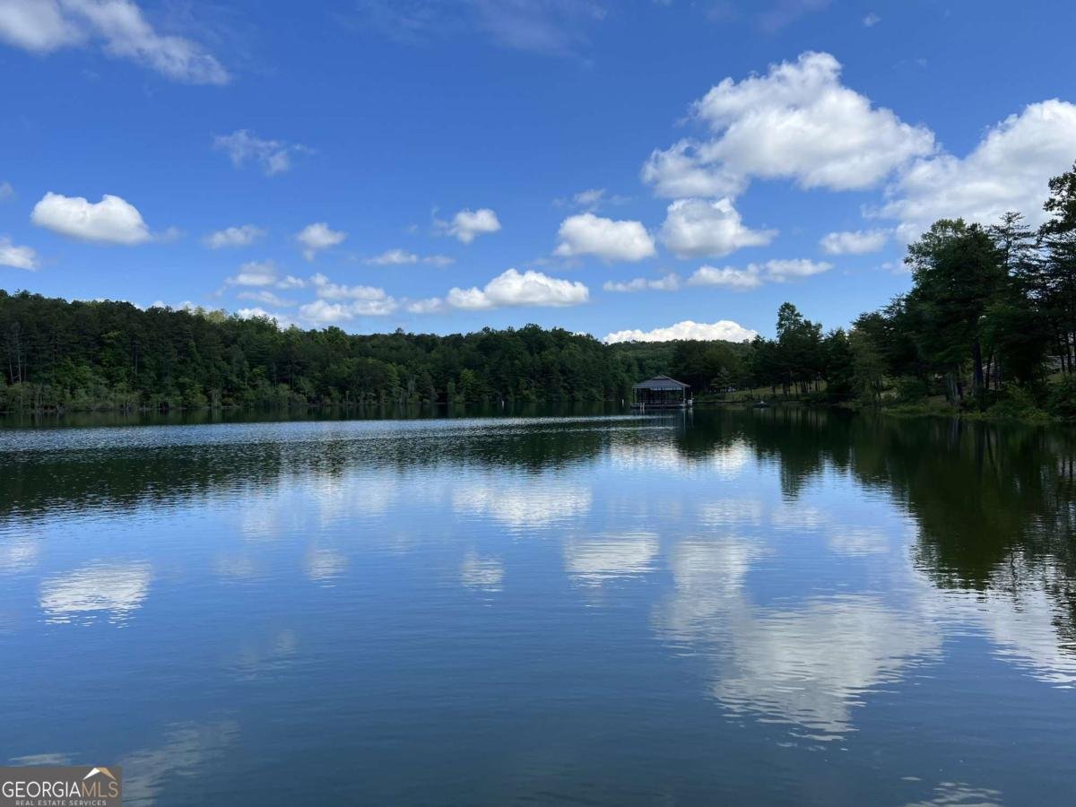 392 New Water Way Blairsville - Photo 57