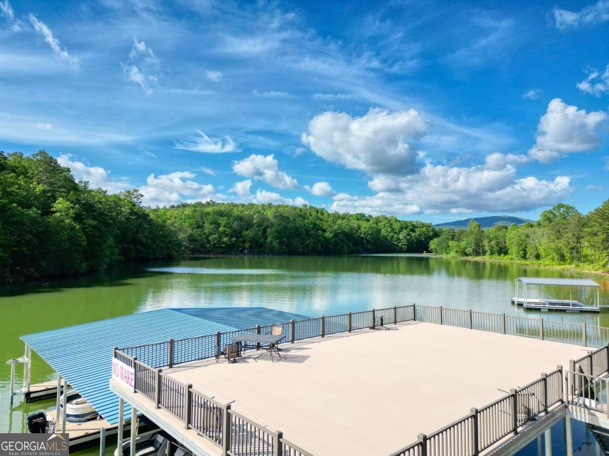 392 New Water Way Blairsville - Photo 68