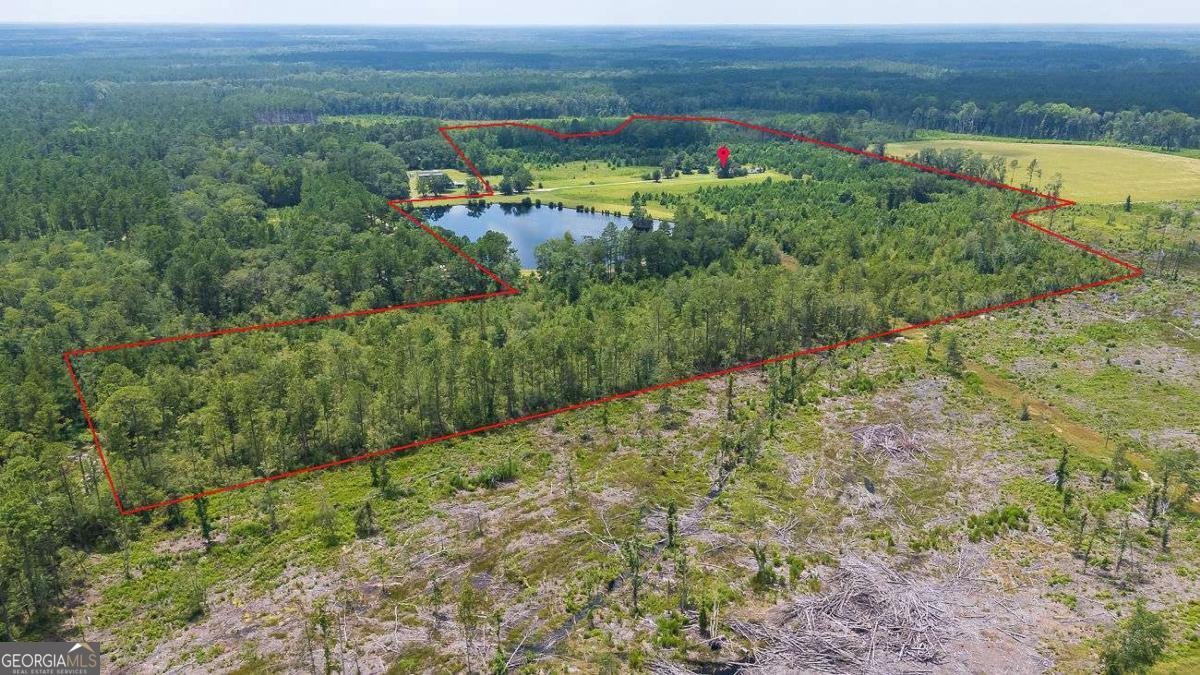 410 Newton Road Guyton - Photo 10