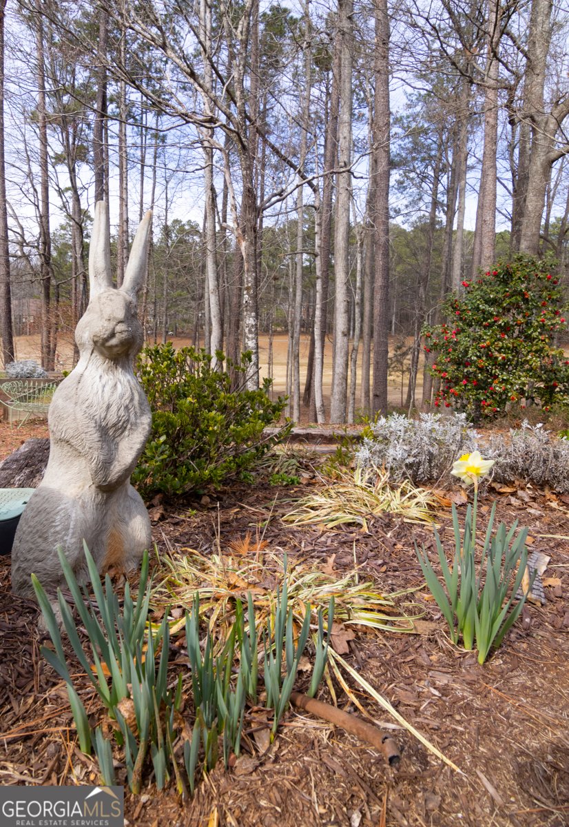 345 Tillinghast Trace Newnan - Photo 68