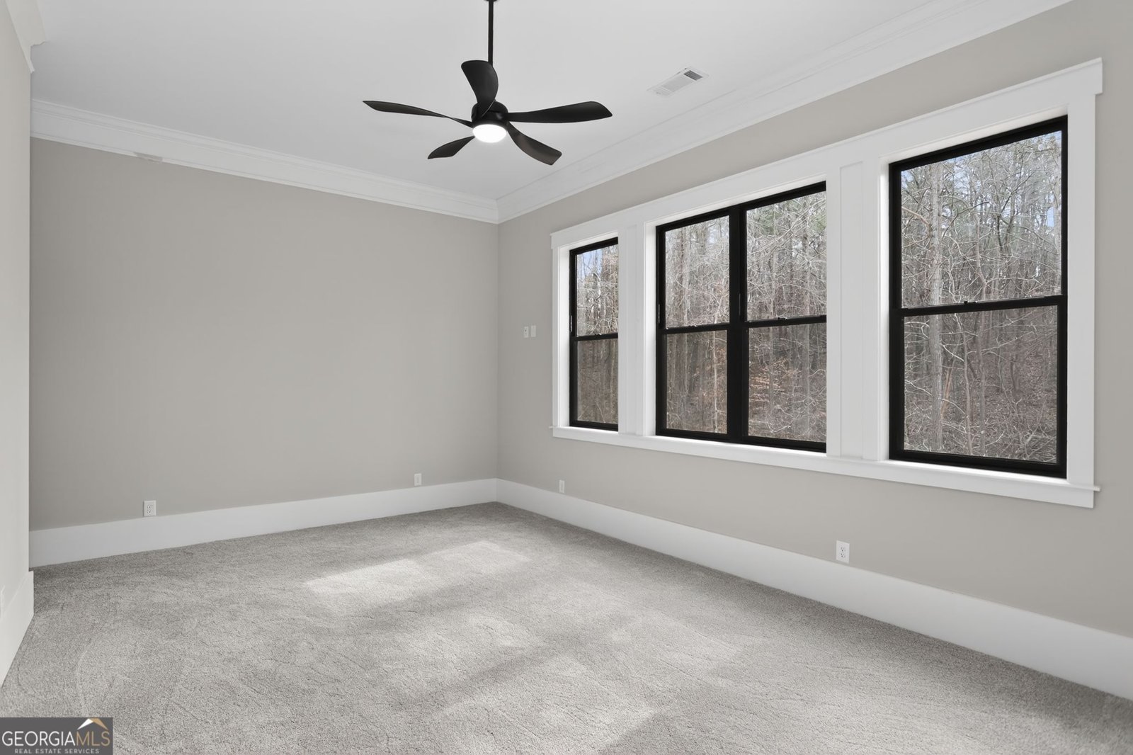 101 Attwater Circle Dawsonville - Photo 65