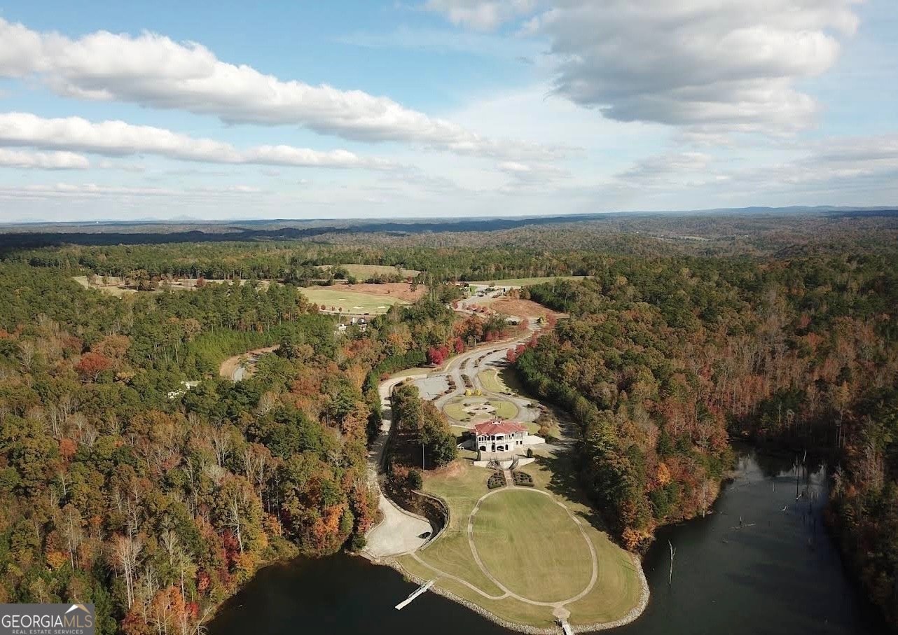 101 Attwater Circle Dawsonville - Photo 83