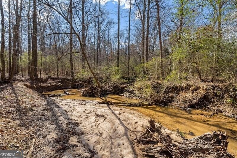 2995 Gum Creek Road Oxford - Photo 57