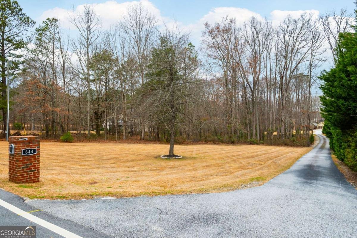 644 Herring Road Grayson - Photo 72