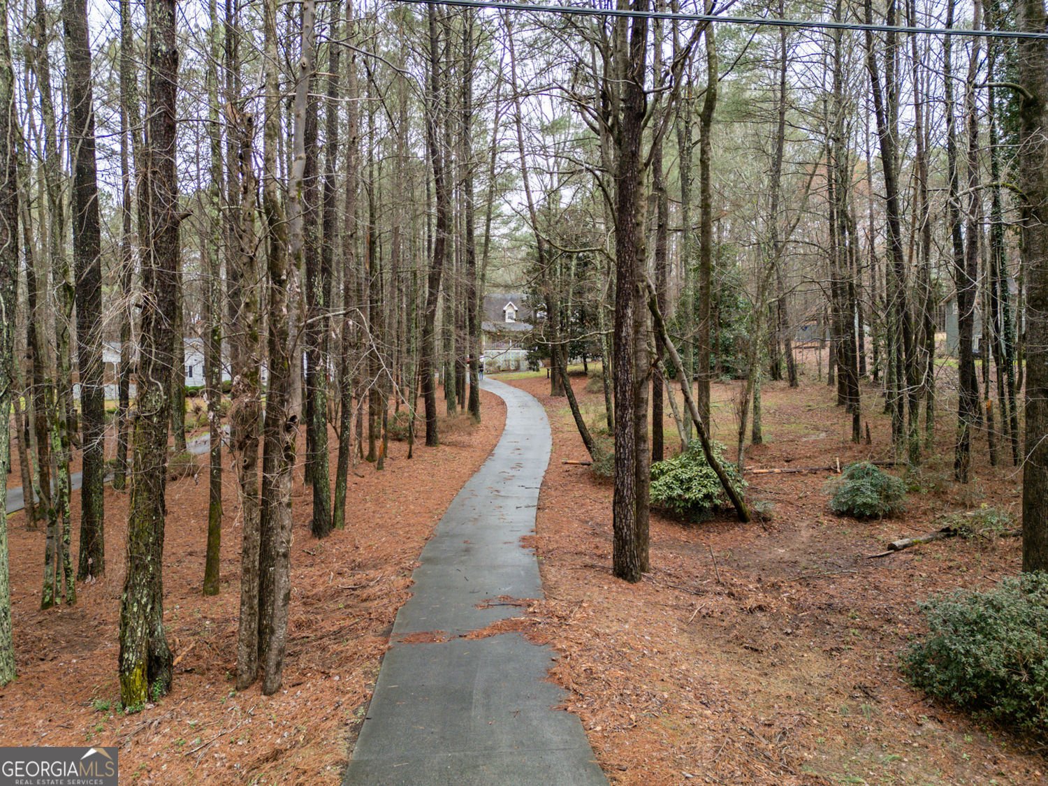 1092 Chandler Haulk Road Loganville - Photo 26