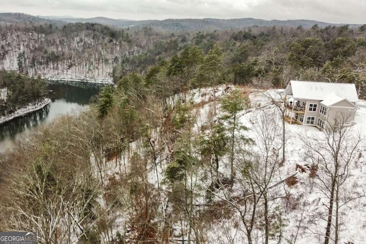 497 Jakes Landing Way Ellijay - Photo 35