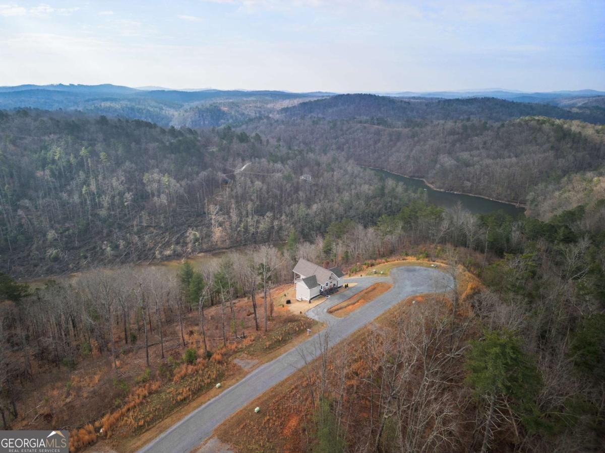 497 Jakes Landing Way Ellijay - Photo 37