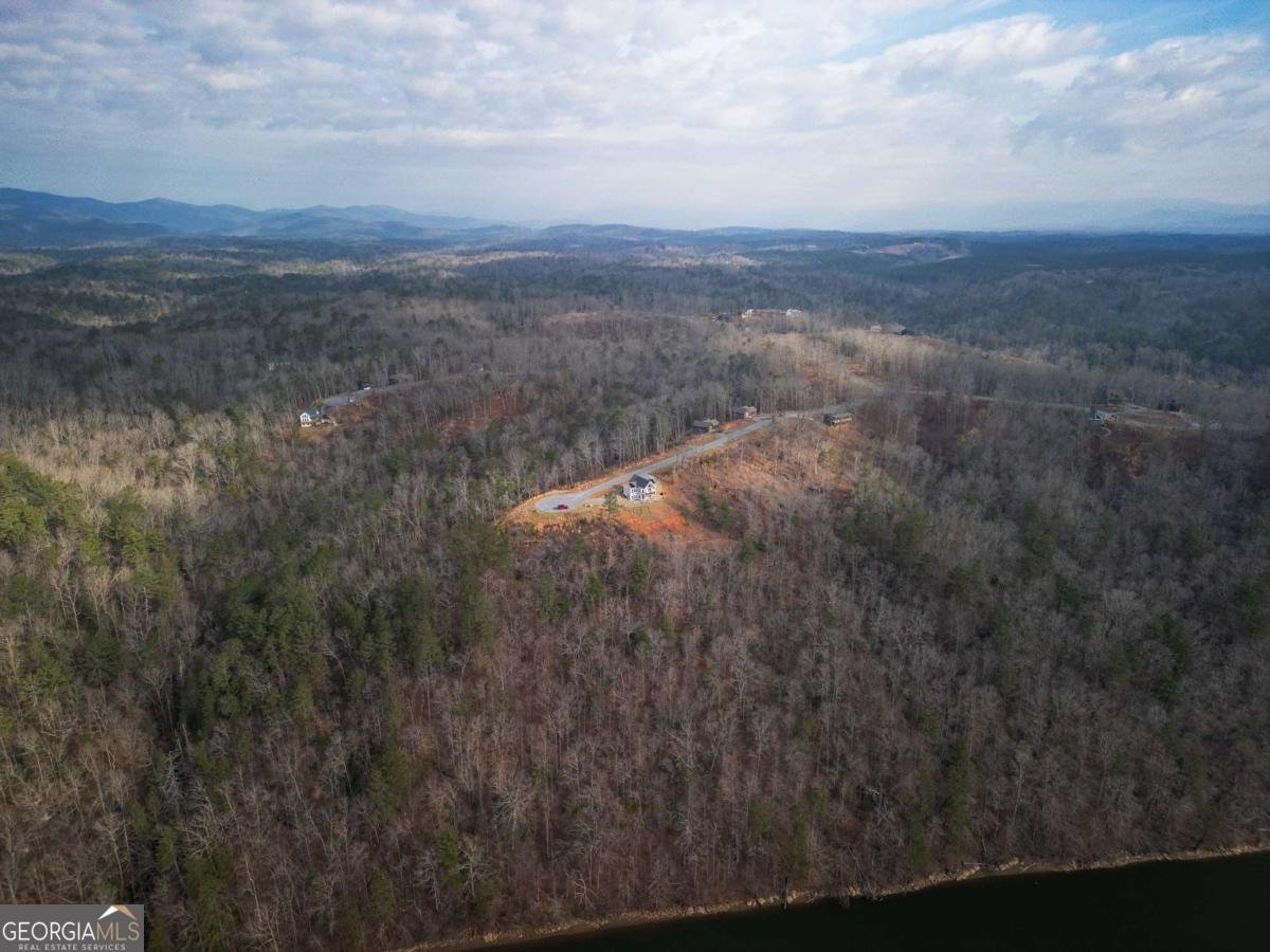 497 Jakes Landing Way Ellijay - Photo 39