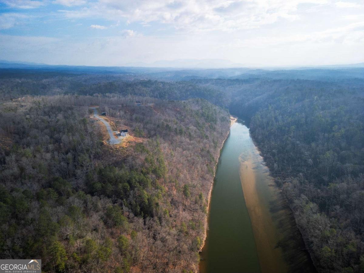 497 Jakes Landing Way Ellijay - Photo 40