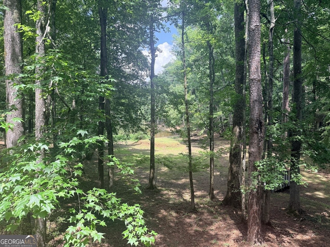66 Innsbruck Lane Pine Mountain - Photo 36