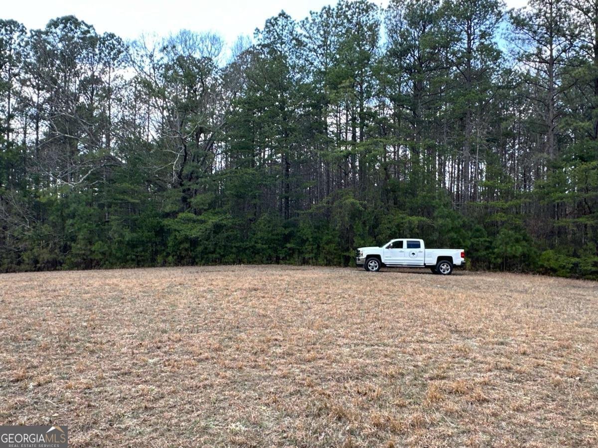 265 Evans Drive Buchanan - Photo 100