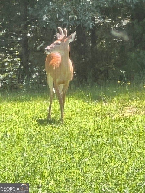 265 Evans Drive Buchanan - Photo 103