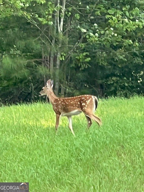 265 Evans Drive Buchanan - Photo 105