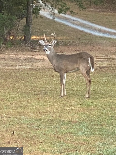 265 Evans Drive Buchanan - Photo 106