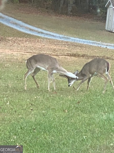 265 Evans Drive Buchanan - Photo 107