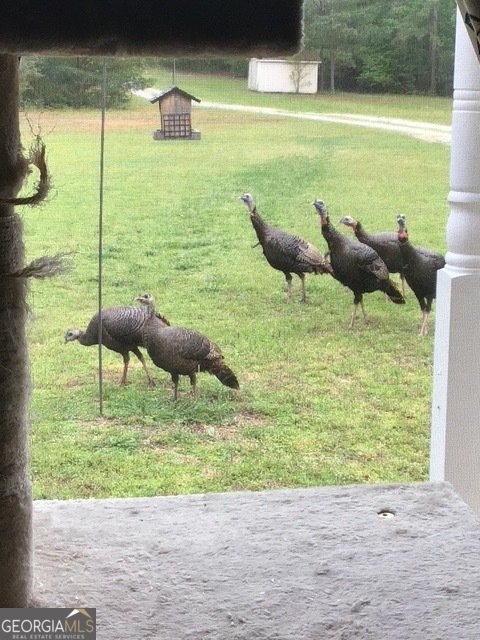 265 Evans Drive Buchanan - Photo 108