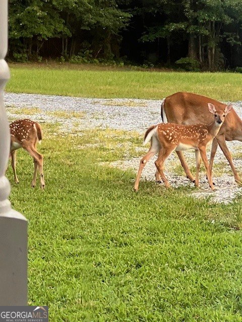 265 Evans Drive Buchanan - Photo 109