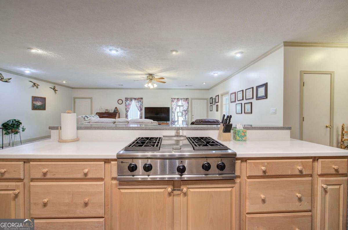 265 Evans Drive Buchanan - Photo 18