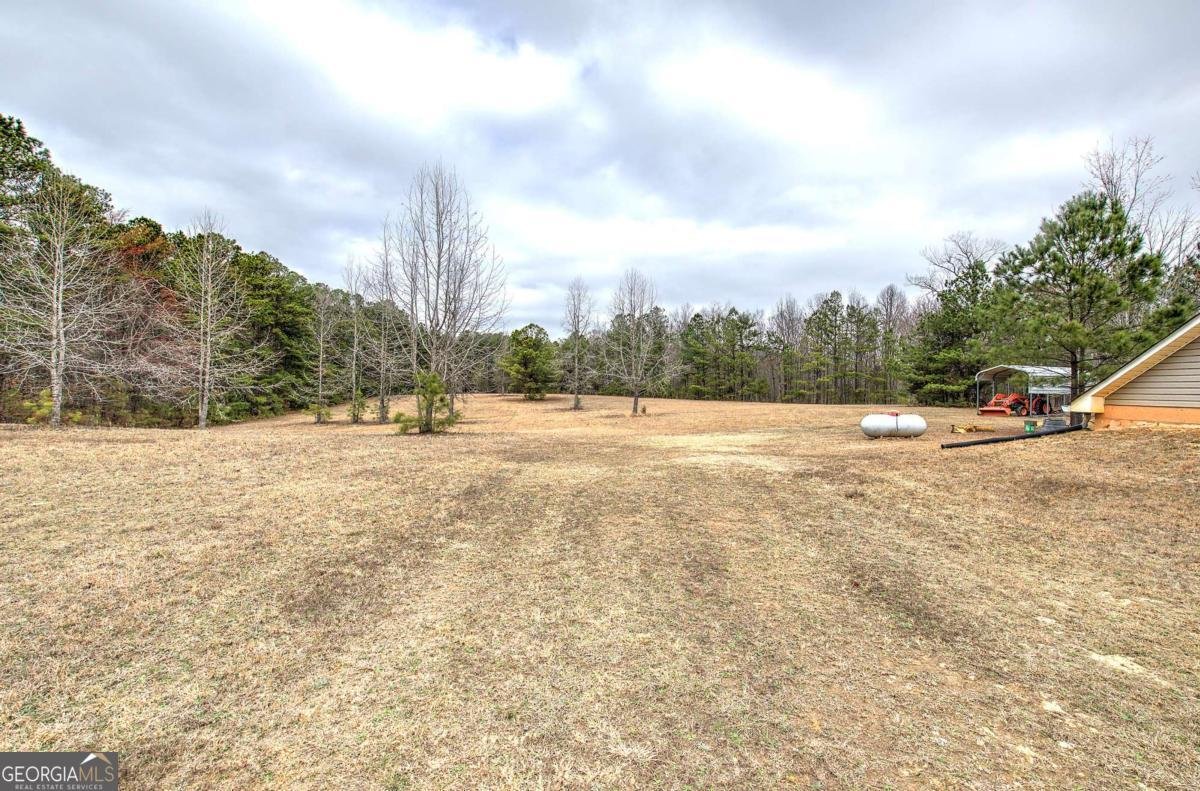 265 Evans Drive Buchanan - Photo 46