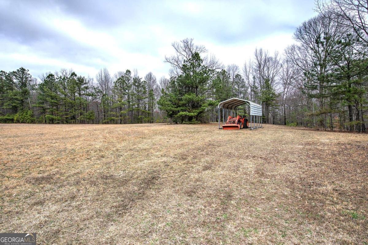 265 Evans Drive Buchanan - Photo 47