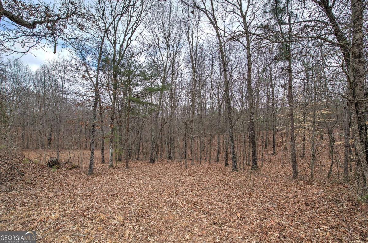 265 Evans Drive Buchanan - Photo 48