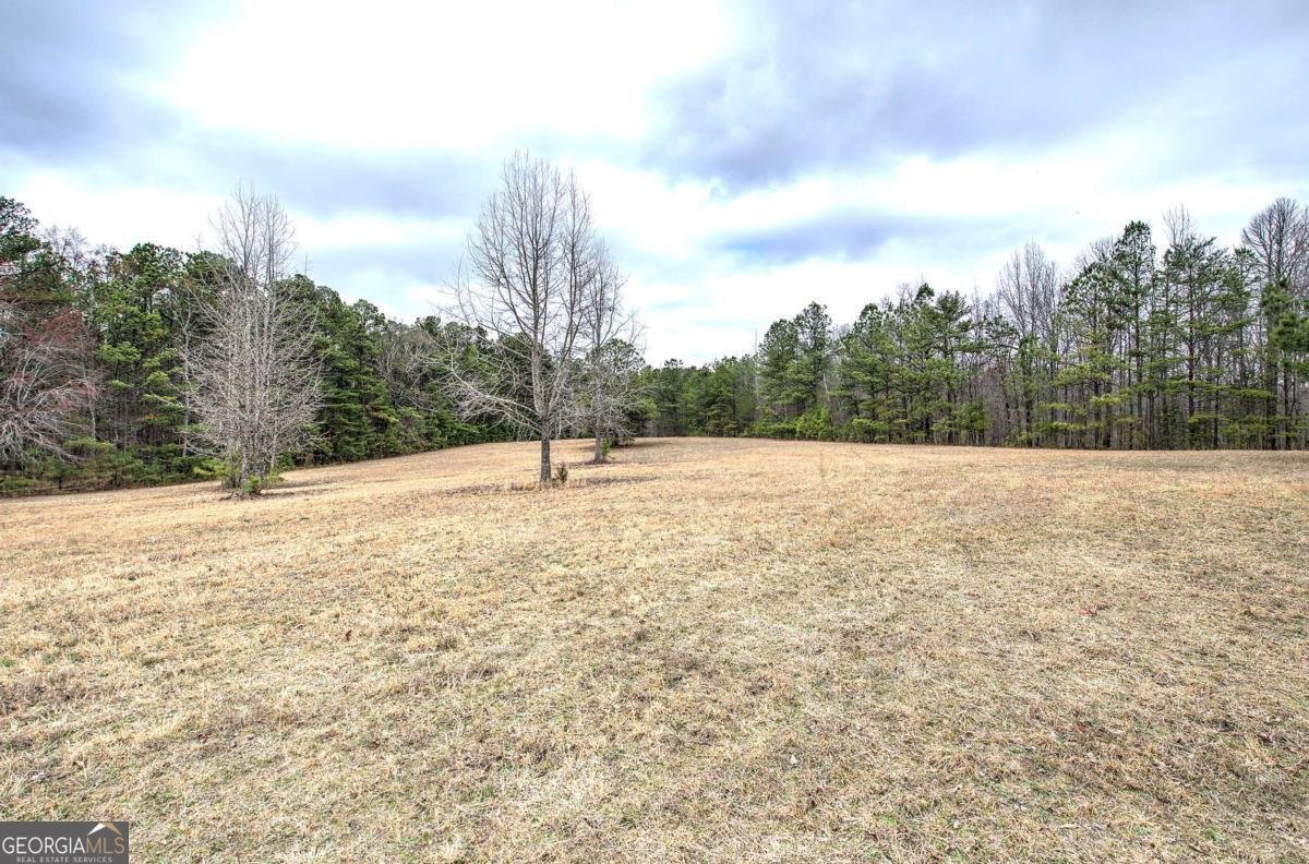 265 Evans Drive Buchanan - Photo 49