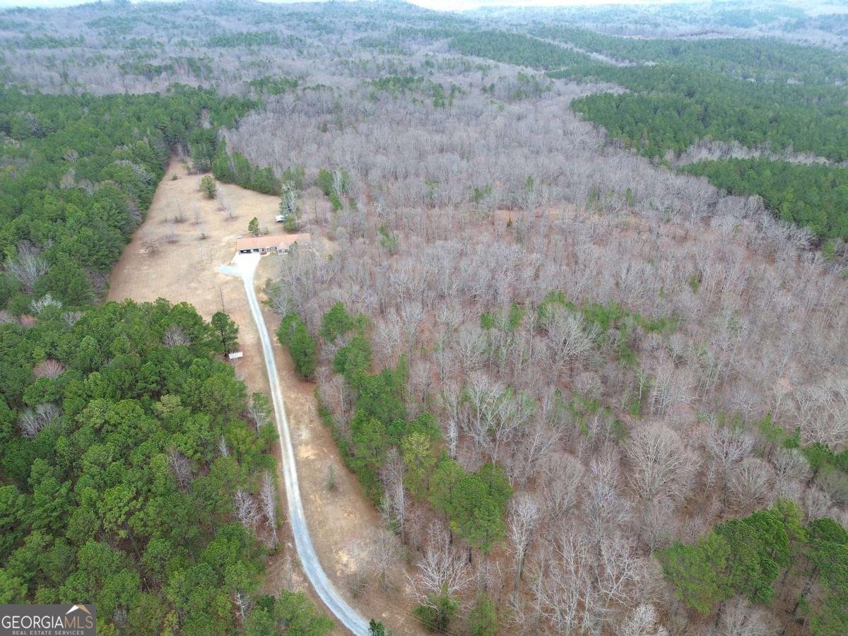 265 Evans Drive Buchanan - Photo 55