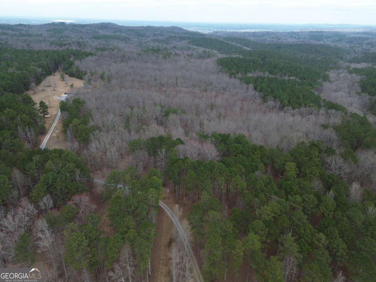 265 Evans Drive Buchanan - Photo 57