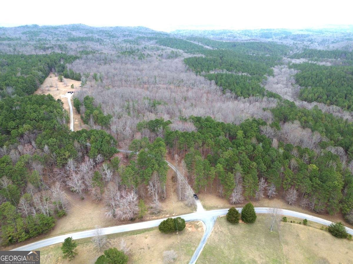 265 Evans Drive Buchanan - Photo 58