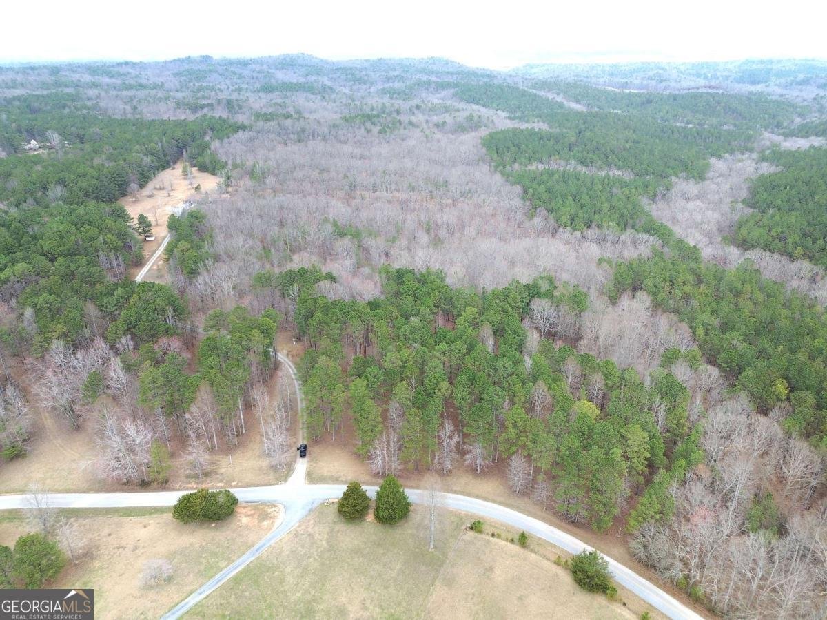 265 Evans Drive Buchanan - Photo 59