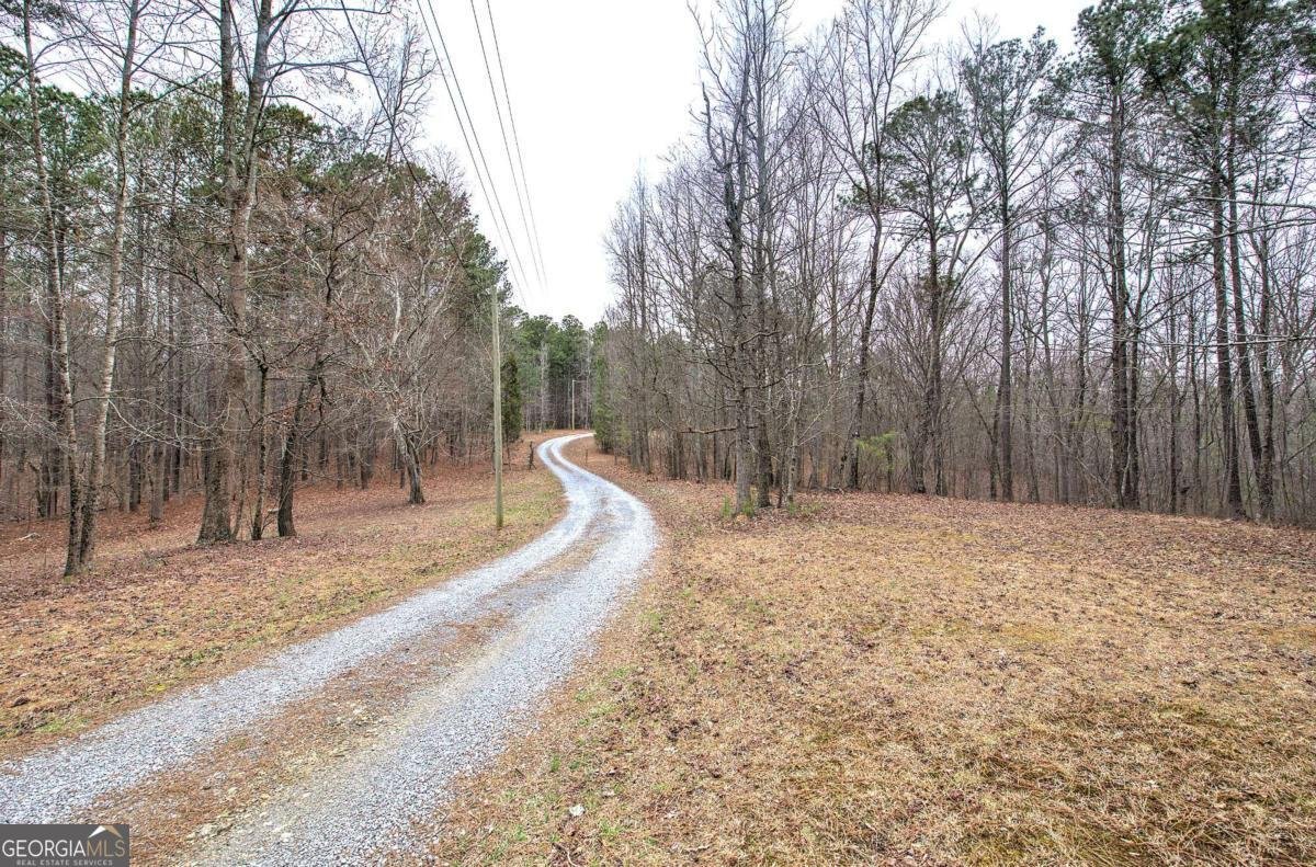 265 Evans Drive Buchanan - Photo 6