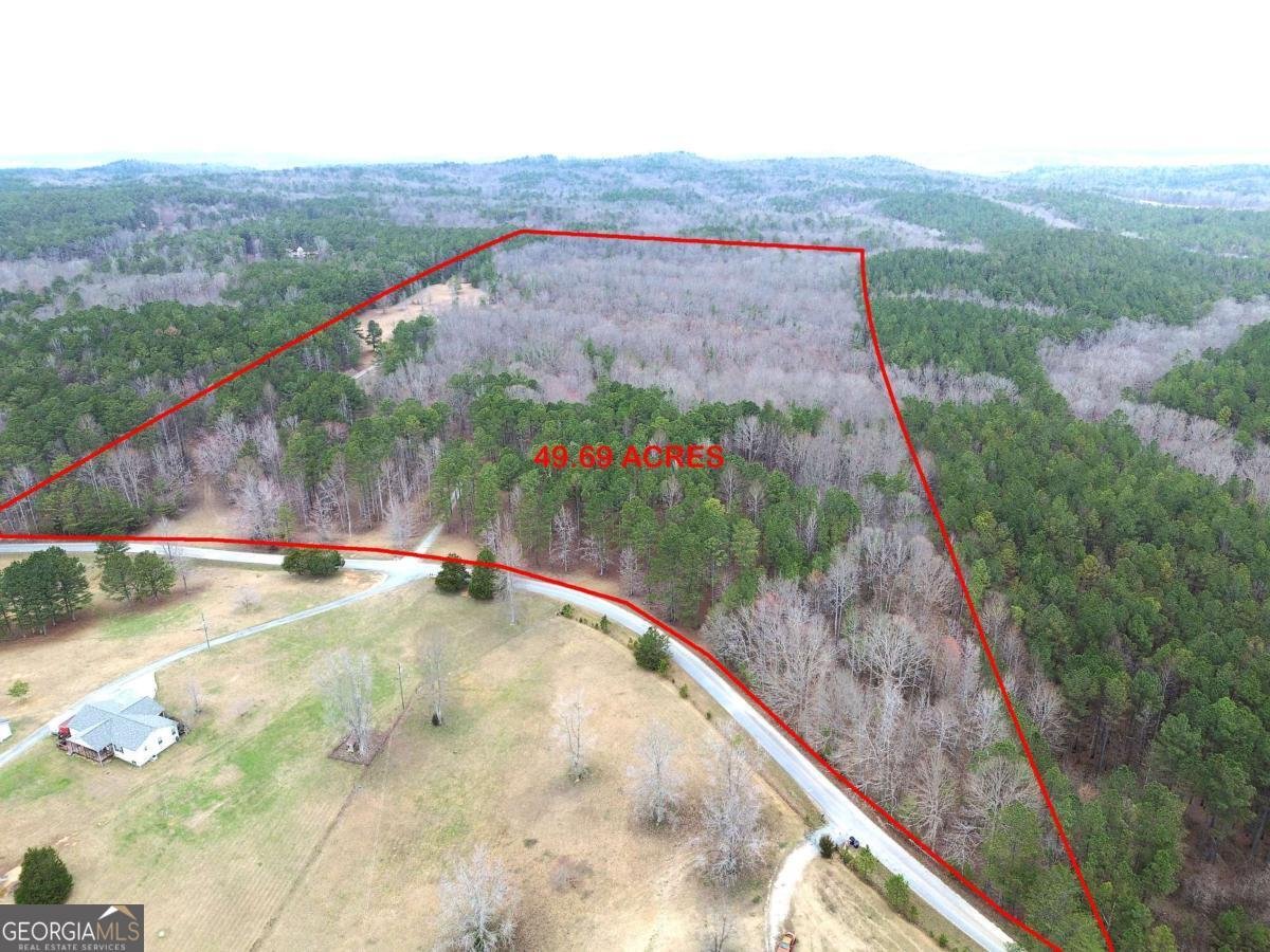 265 Evans Drive Buchanan - Photo 61