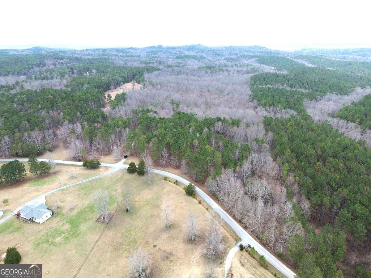 265 Evans Drive Buchanan - Photo 63